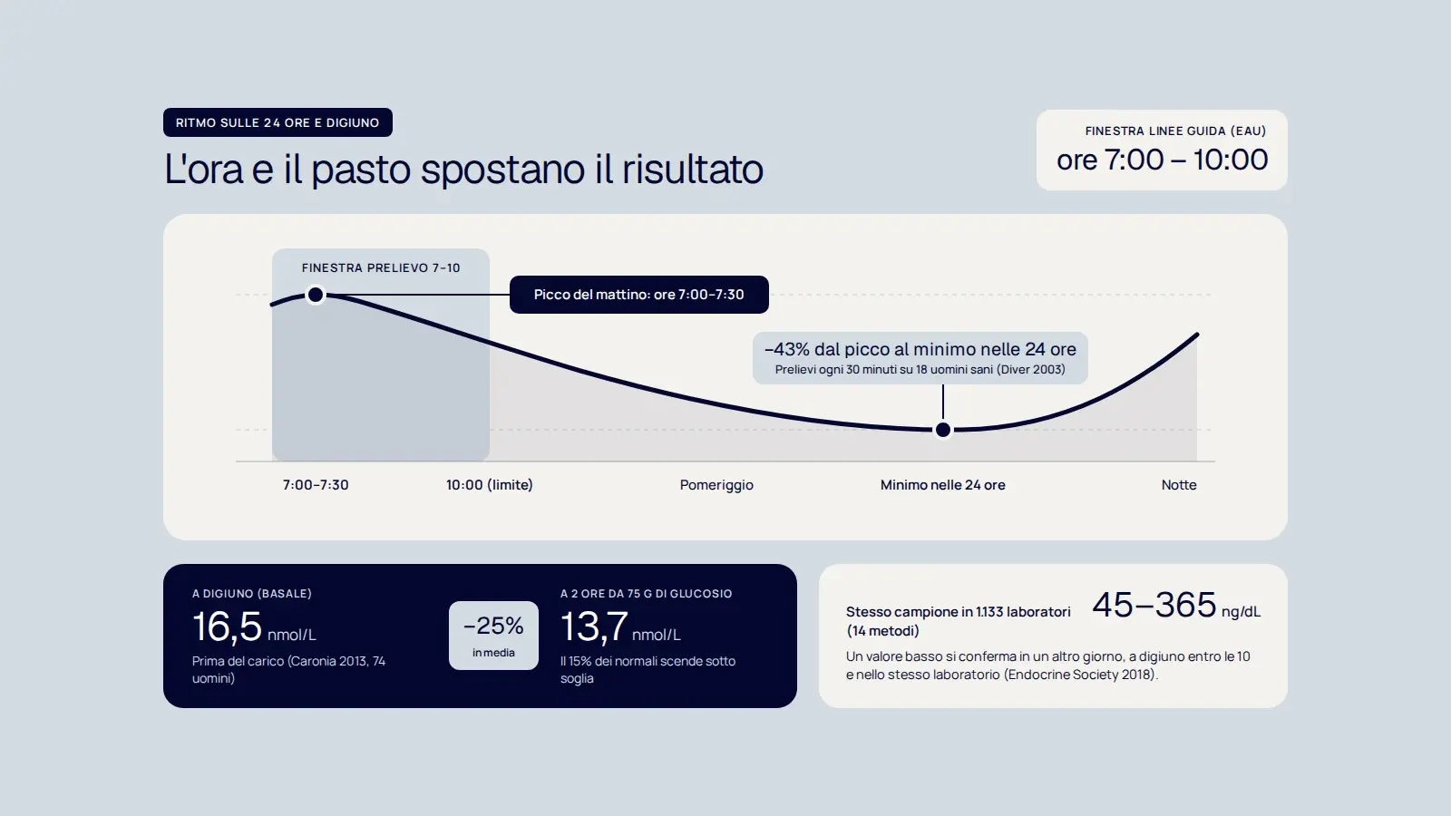 Grafico su fondo Perla con la curva delle 24 ore del testosterone (finestra del prelievo 7:00–10:00, picco 7:00–7:30 e calo del 43% al minimo) e il confronto fra prelievo a digiuno (16,5 nmol/L) e a 2 ore da 75 g di glucosio (13,7 nmol/L, −25% in media, 15% sotto soglia) più la variazione 45–365 ng/dL fra 1.133 laboratori